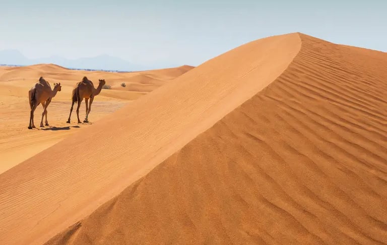 Two dromedary camels walk across the vast orange sand dunes of the Arabian Desert under a clear blue sky.