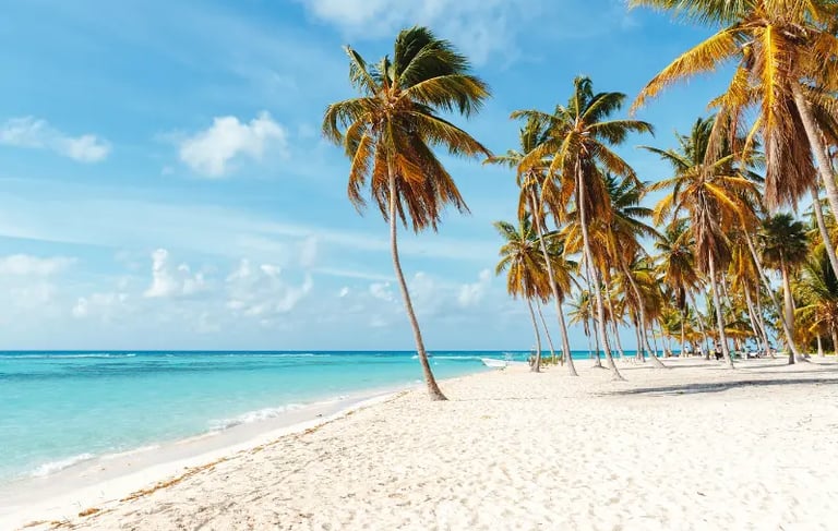 Tropical white sand beach with leaning palm trees and turquoise Caribbean sea under a blue sky.