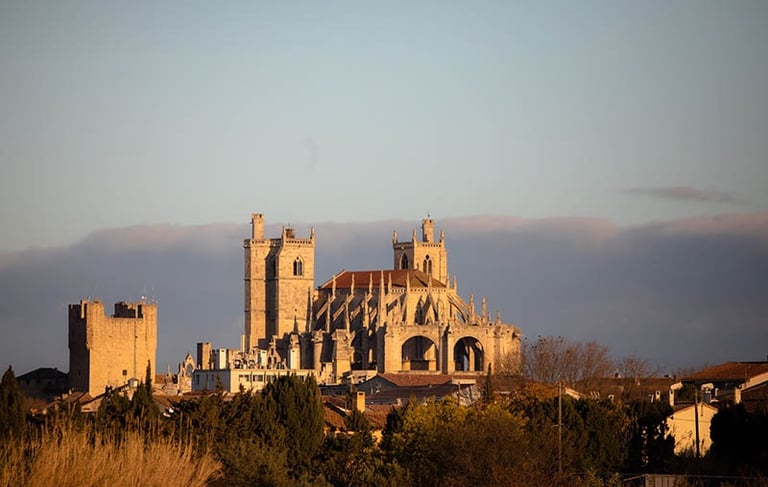 cathédrale de Narbonne