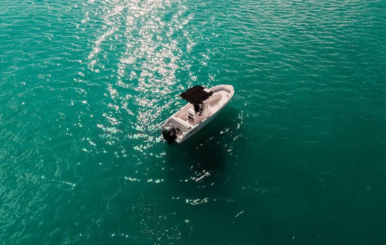 Forboat 34 open excellence nautique caraibes