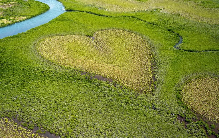 coeur de voh par Xi Serge de PIXABAY