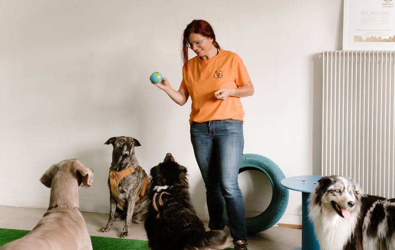 Laetitia avec pleins de chiens - patch guard et strasdog en partenariat