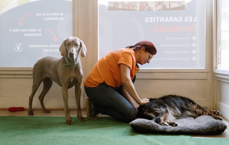 laetitia qui masse un chien - strasdog et patch guard