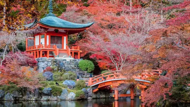 Red Daigo-ji temple pagoda surrounded by vibrant autumn maple trees in Kyoto