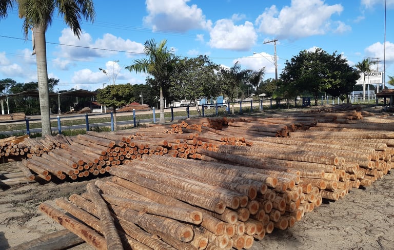 Peças de Eucalipto tratado em uma patio - Imader