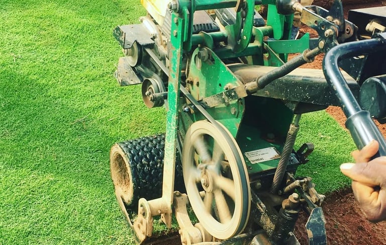 lawn grass suppliers in Hyderabad