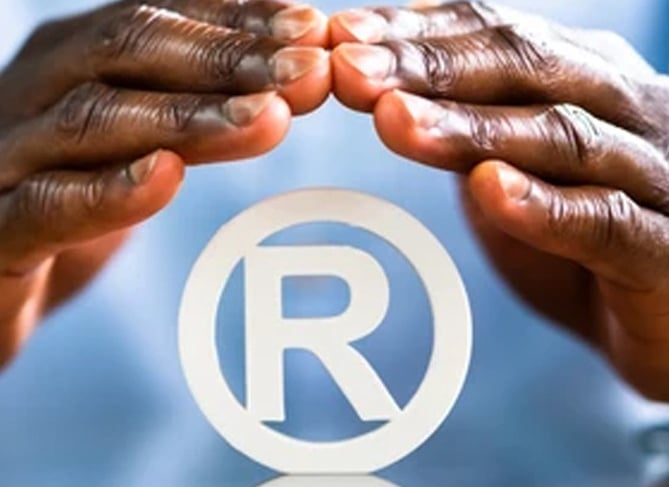 Copy right, brand protection services
