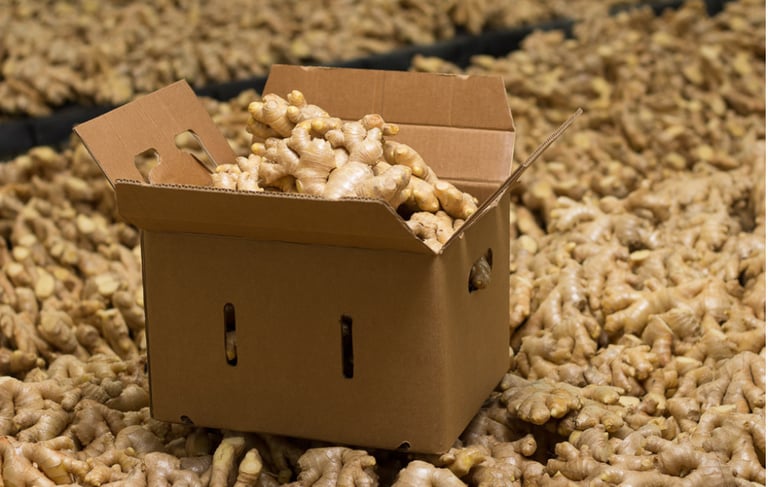 bulk-fresh-ginger-packing