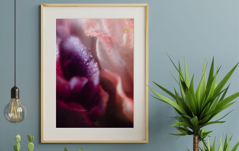 a framed photograph of a framed photograph of a flower