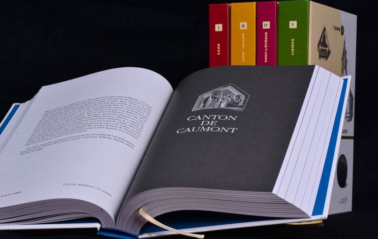 Page d'introduction au chapitre consacré au canton de Caumont