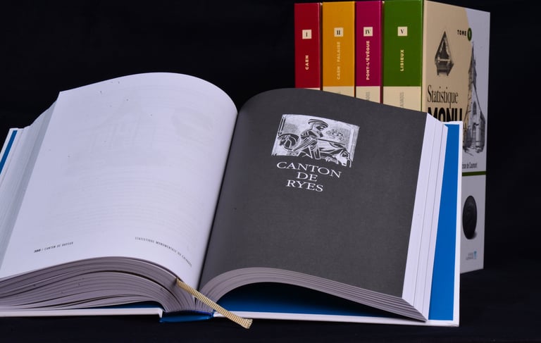 Page d'introduction au chapitre consacré au canton de Ryes