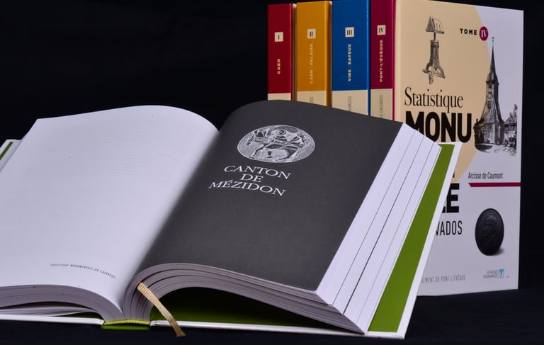 Page d'introduction au chapitre consacré au canton de Mézidon