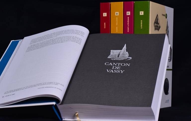 Page d'introduction au chapitre consacré au canton de Vassy