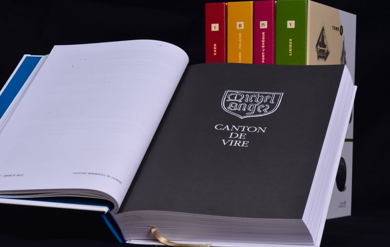 Page d'introduction au chapitre consacré au canton de Vire