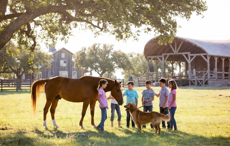 Lone Star Rescue Ranch is being built near Brenham, Texas