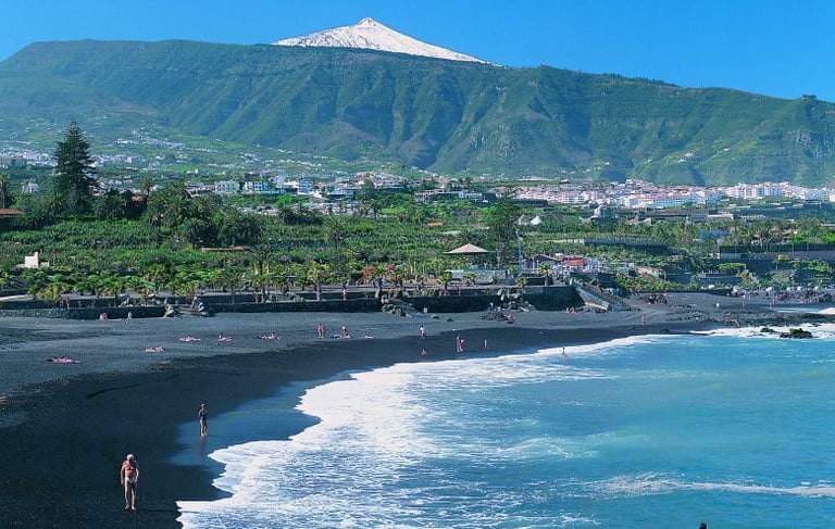 Playa Jardín