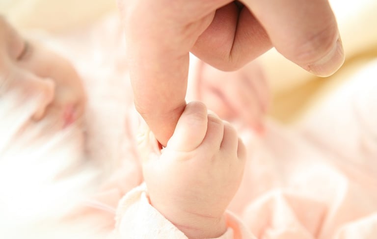wikifaith-encyclopedia-wikipedia-wikileaks-baby