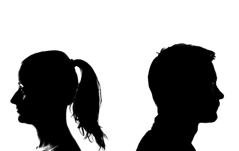 wikifaith-encyclopedia-wikipedia-wikileaks-divorce