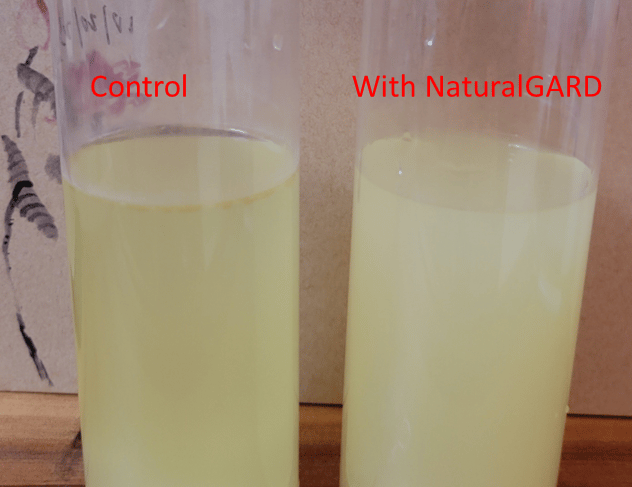 lemonade with cultured dextrose