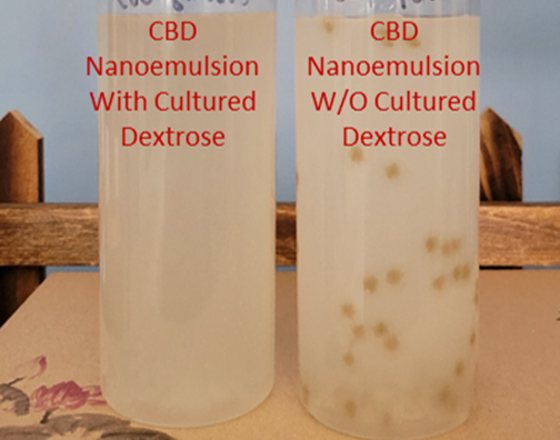 CBD nanoemulsion and cultured dextrose