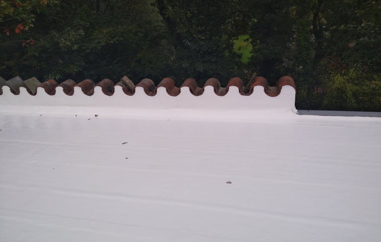 witte dak coating