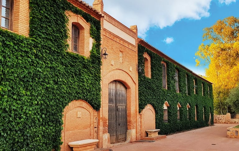 VISITA GUIADA ALMAGRO