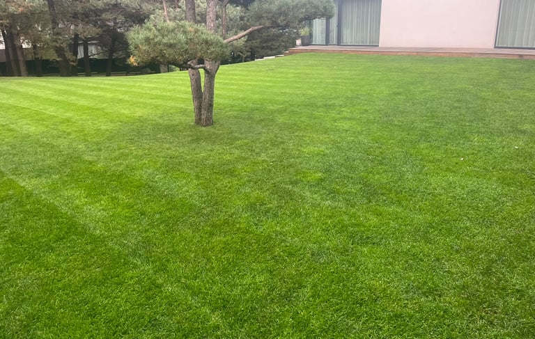 Nupjauta veja ir atlikti kiti vejos priežiūros darbai