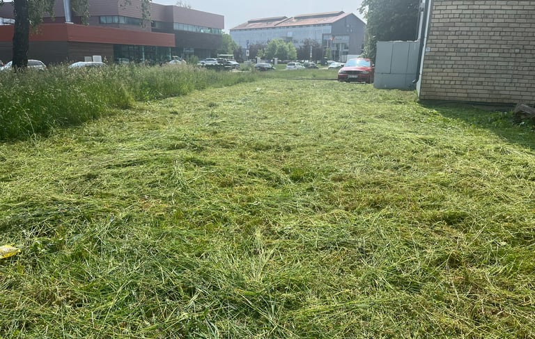 Apleisto sklypo sutvarkymas po aukštos žolės pjovimo ir teritorijos išvalymo