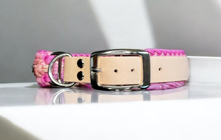Collar para mascota elaborado con Paracord, ajuste en BioThane® y hebilla de acero inoxidable.