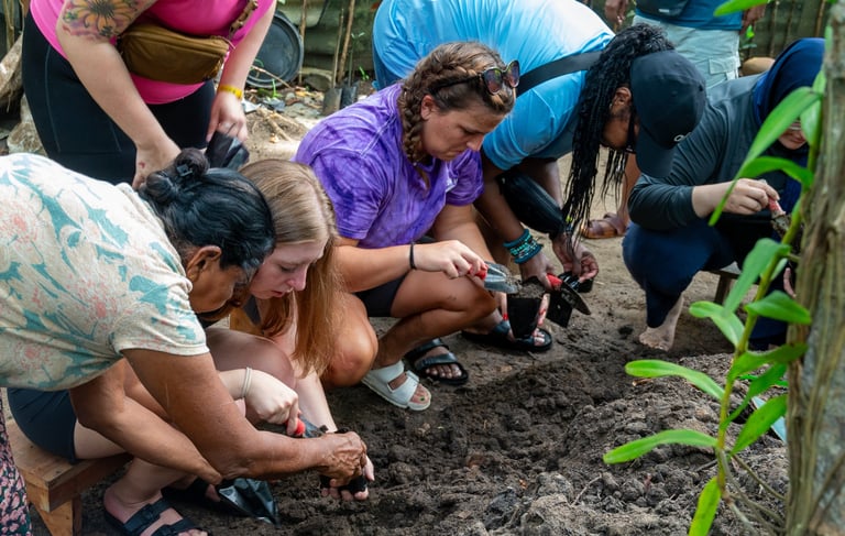 Custom group programs