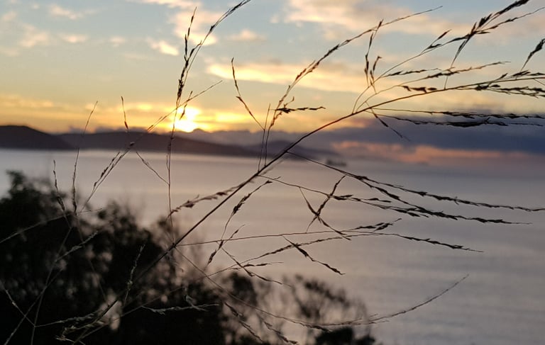 being to close we lose the view