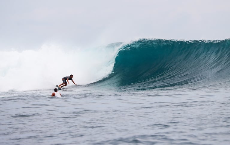 Surfer paddling into steep left at Scarecrows surf spot, Mentawai Islands