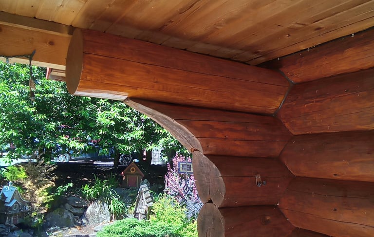 log repair and staining of Ladysmith log home