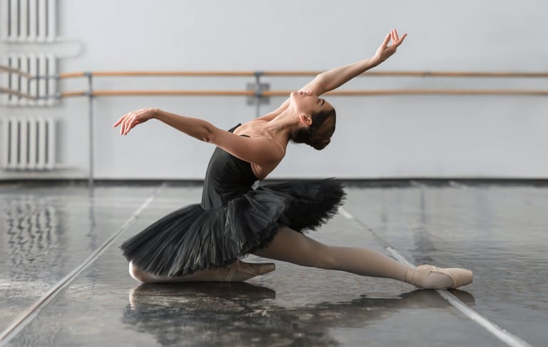 Pre Professional Ballet, Dance Tutu, Dance Education