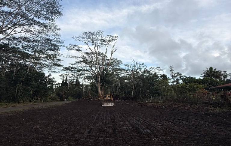 Land Clearing in Pahao, Hawaii