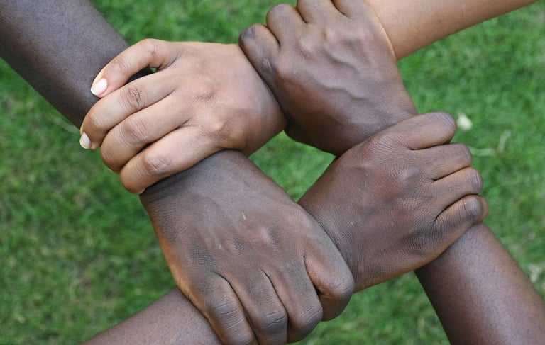 Solidarité Akut Diaspora