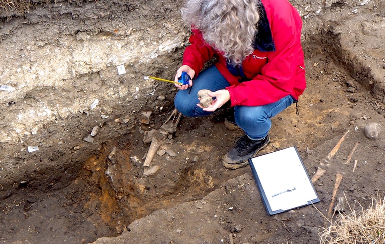 Excavating a skeleton at Clare Castle