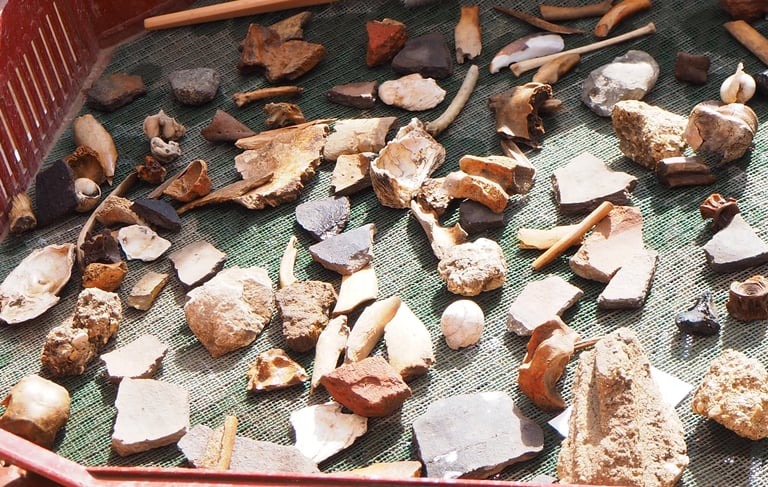 Finds in a drying tray