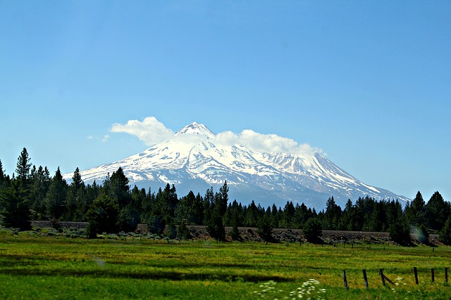 Mount Shasta