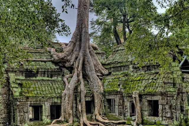 angkor wat, cambodia