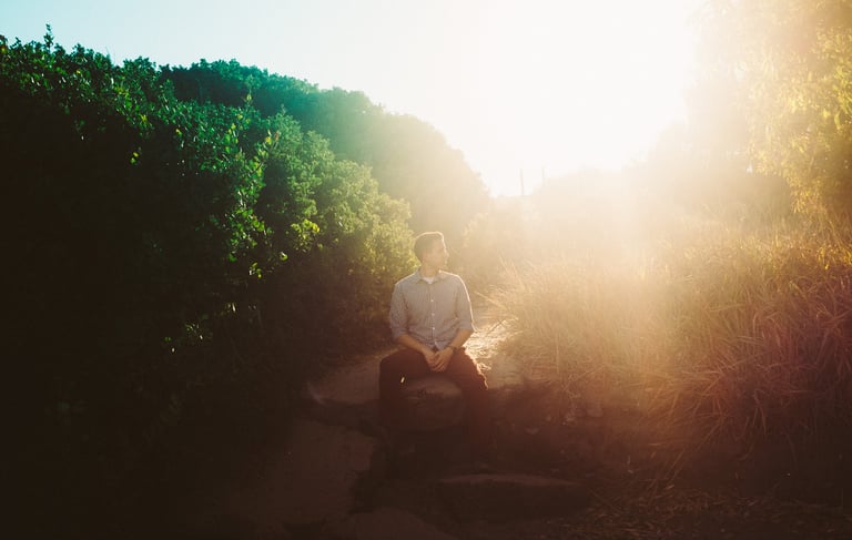 Dennis sitting in the middle of the dirt road surrounded by bushes