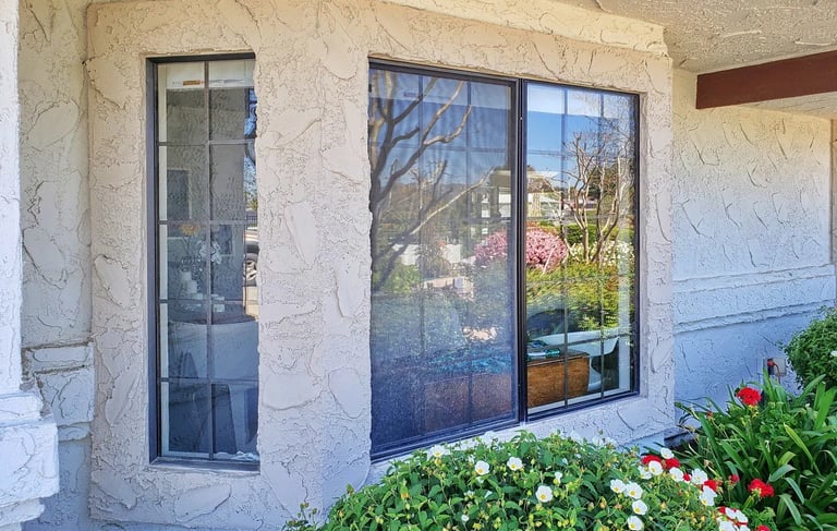 Old bronze windows bejind a green shrub.