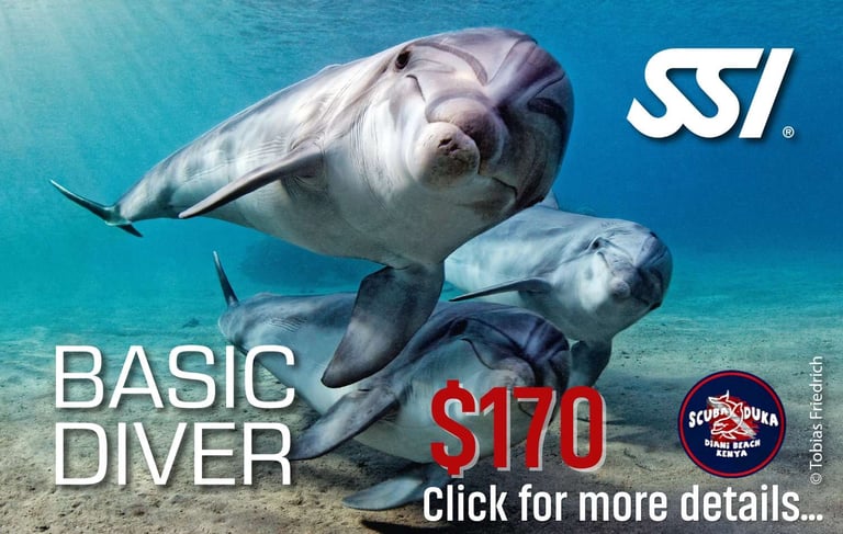 A group of bottlenose dolphins swimming underwater with basic diver course pricing for Scuba Duka in Diani Beach.
