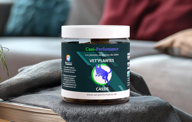 VET'PLANTES CASSIS