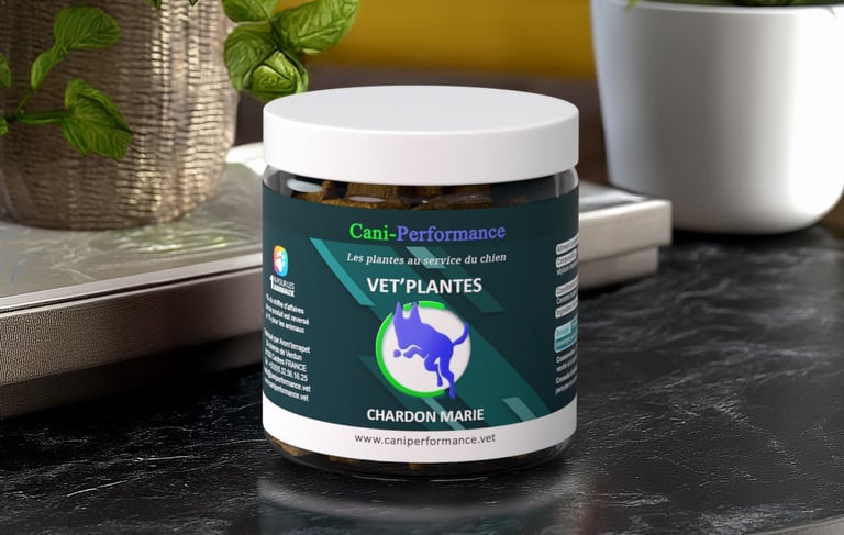 VET'PLANTES CHARDON MARIE