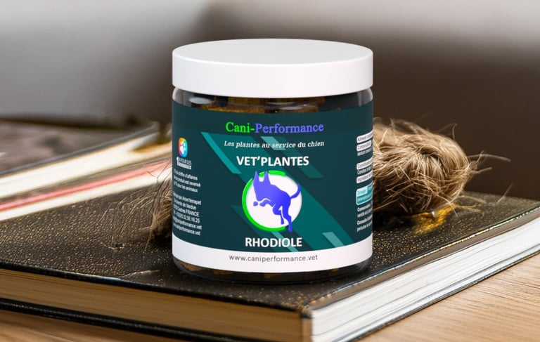 VET'PLANTES RHODIOLE