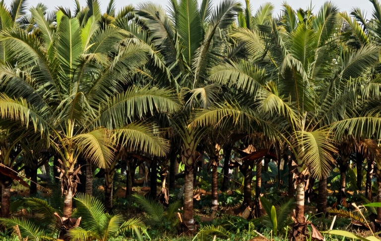 worm's-eye view photography of concrete building