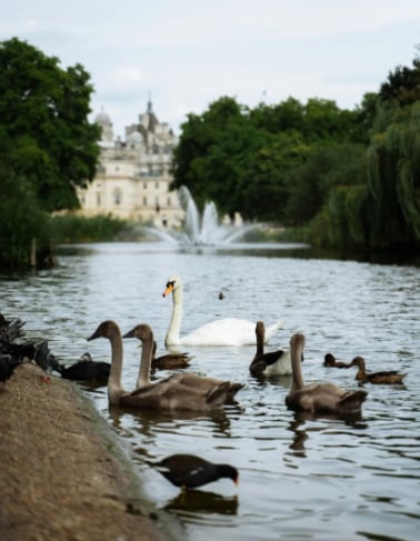 St James Park: diversão ao ar livre para crianças e um refúgio perfeito para piqueniques e caminhada