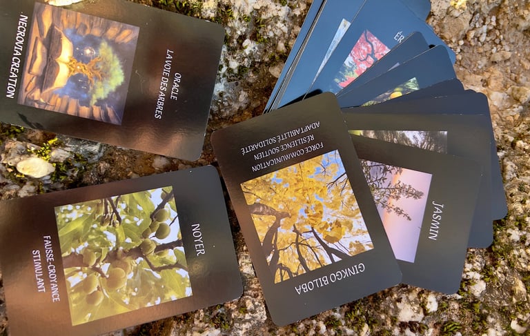 cartes de photos d'arbres posées au sol