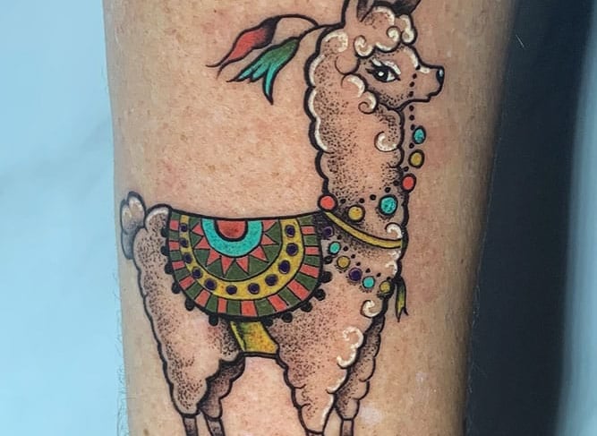 A tattoo style llama tattoo on the arm of a woman's arm. Custom piece by Katarsis Tattoo Perú